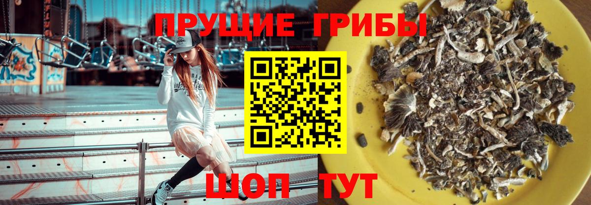 Галлюциногенные грибы прущие грибы Верхний Уфалей